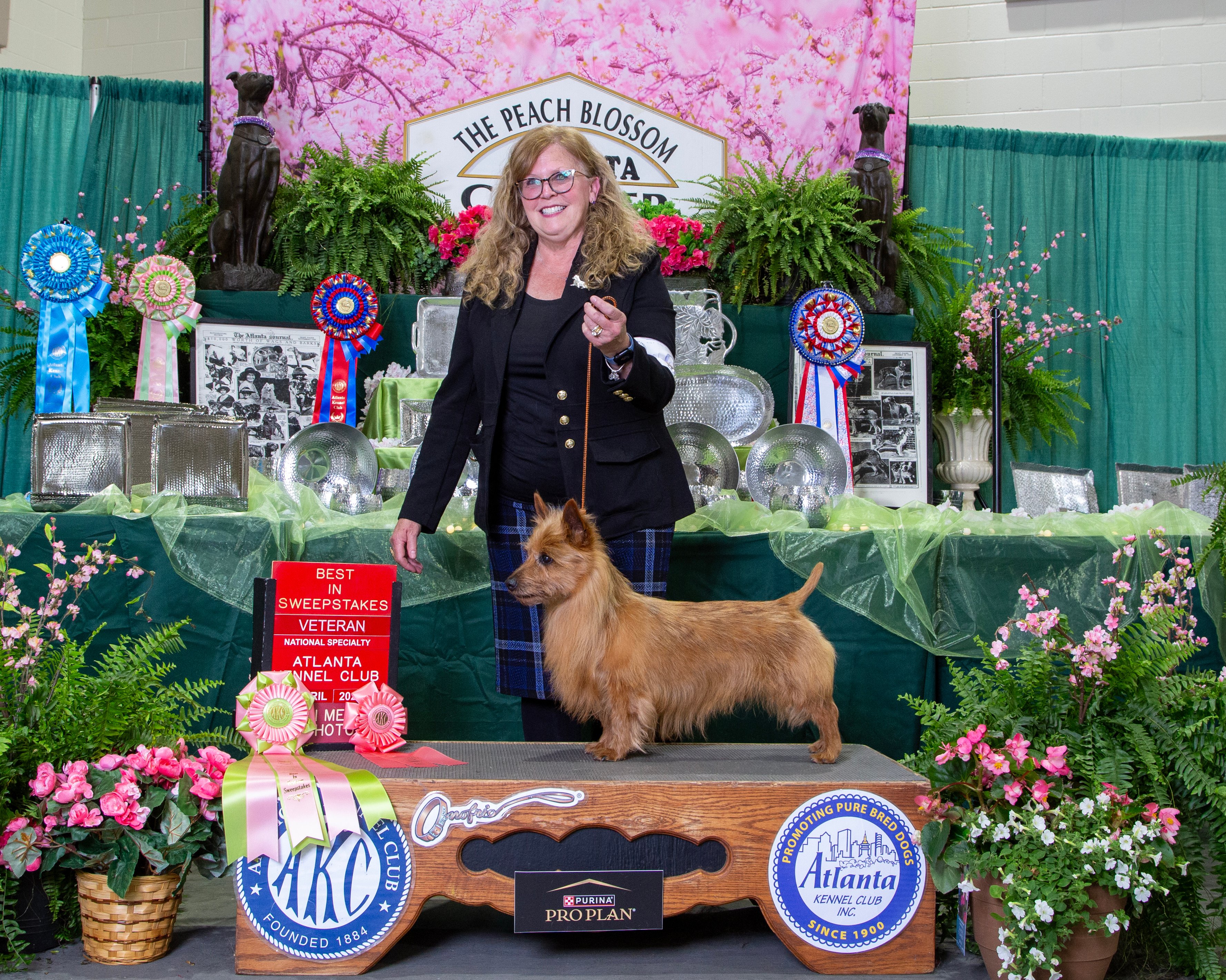 Dog show news.