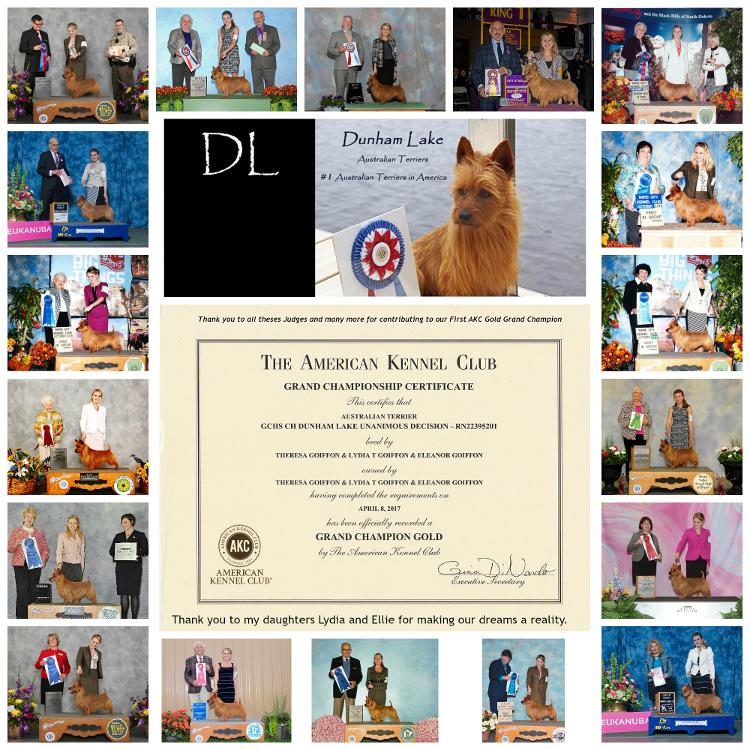 Dunham Lake Australian Terriers winning Breed at Westminster and more...
