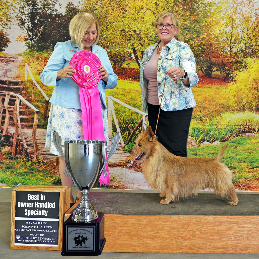 Dog show news.