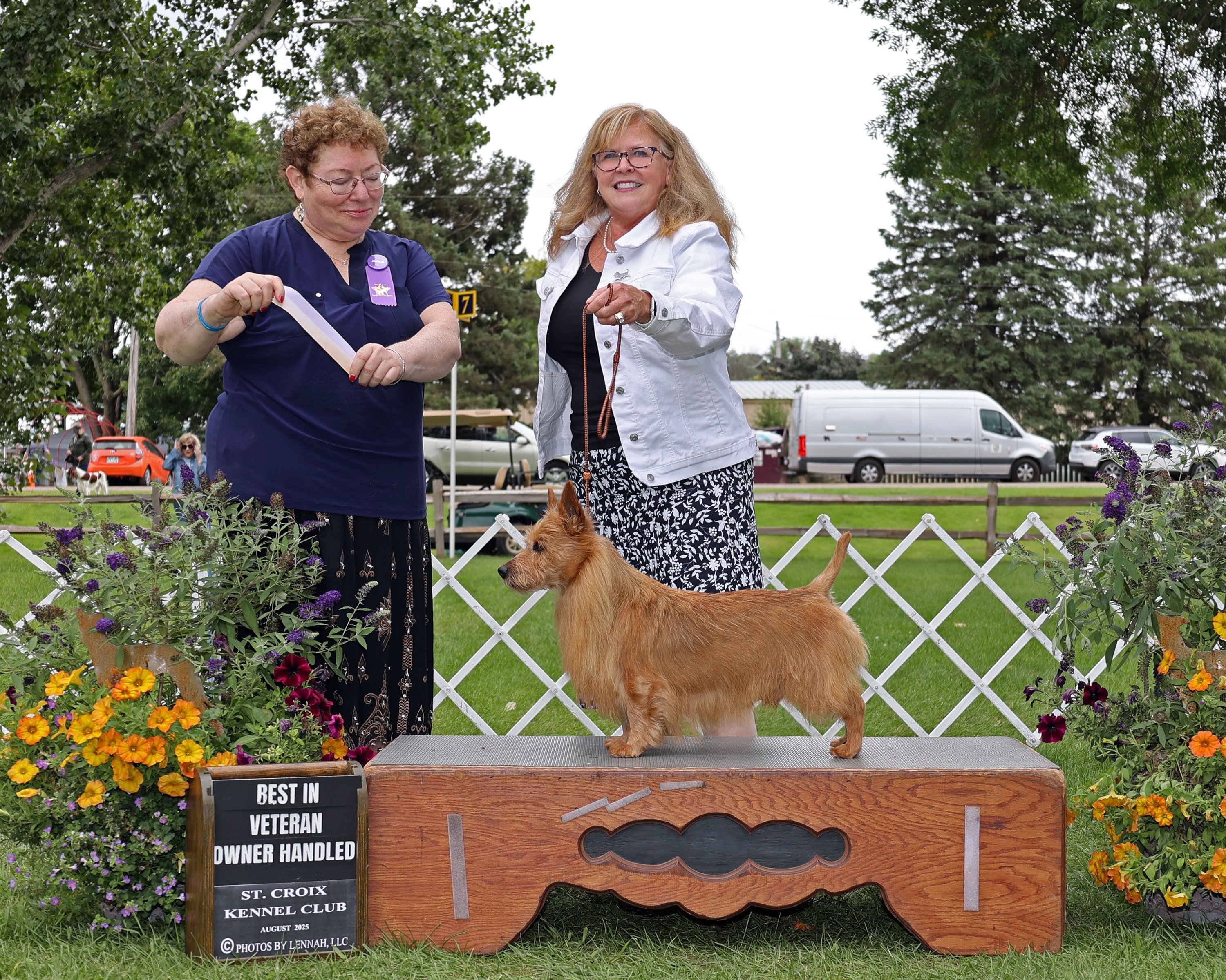 Dunham Lake Australian Terriers winning Breed at Westminster and more...